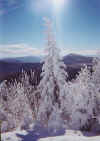 summit2.jpg (19865 bytes)